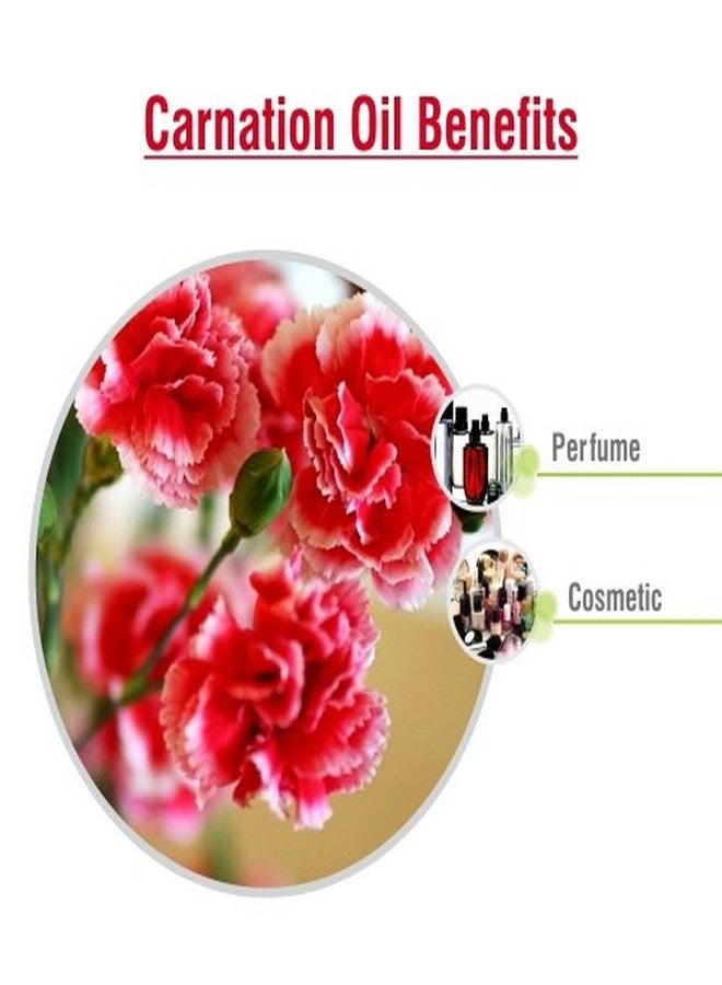 سالفيا زيت القرنفل العطري العلاجي (Dianthus caryophyllus) من سالفيا، زجاجة كهرمانية، طبيعي، غير مخفف، نقي، معصور على البارد، زيت عطري فاخر - 15 مل / 0.5 أونصة سائلة - Image 3